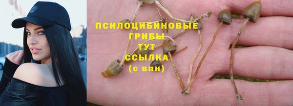 spice Мегион