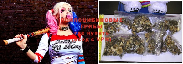 spice Мегион